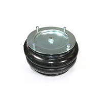 Airbag Man DB1028 - Dunlop Air Springs 10 x 2 Assembly Inc Nuts