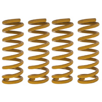 Tough Dog Pair of Front & Rear 40mm Lift Coil Springs For Ford Everest Next-Gen 2022-On Alloy/No-Bullbar/0-300kg Load